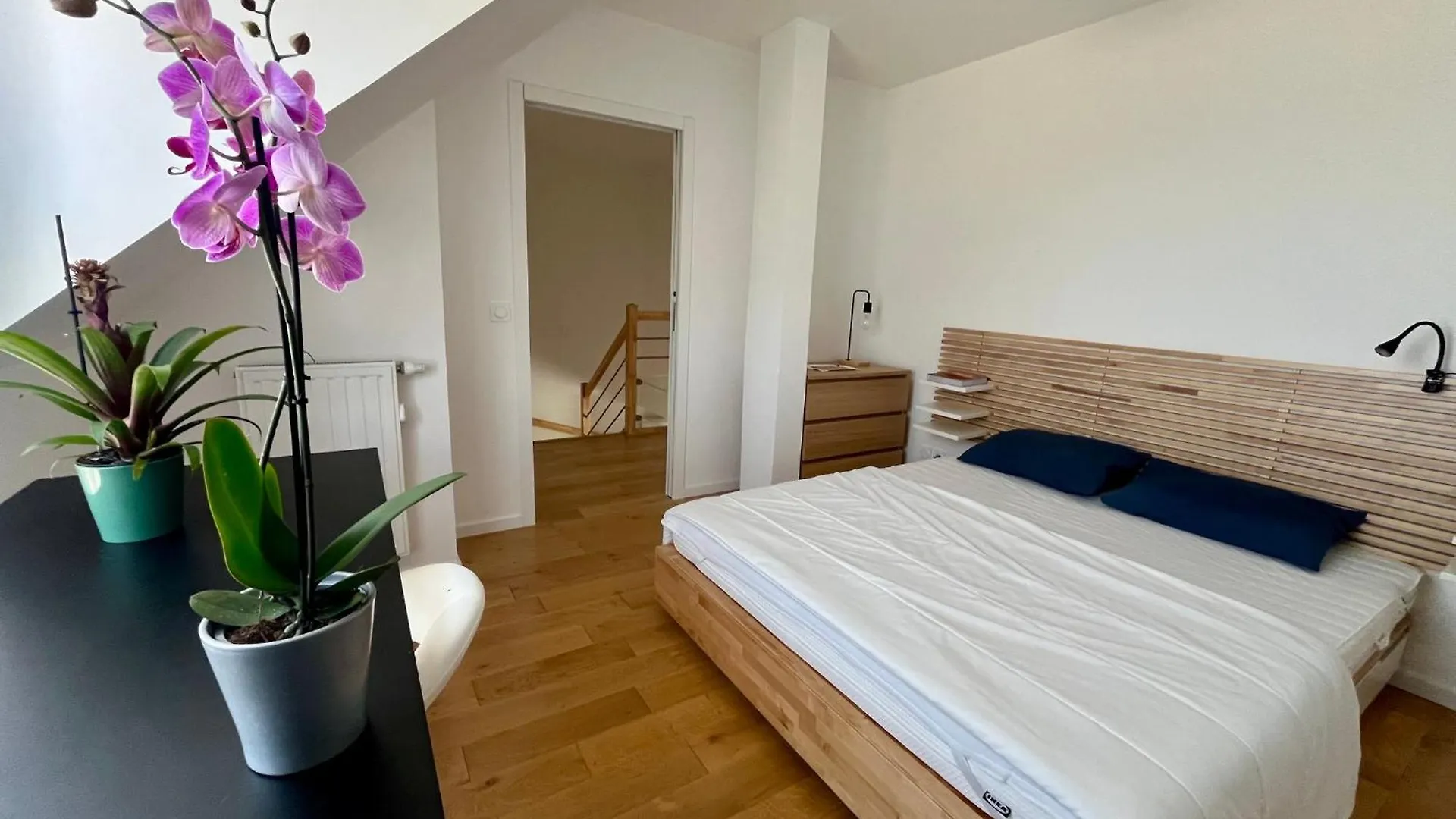 Maison Moderne A Concarneau, A 50 M De La Plage